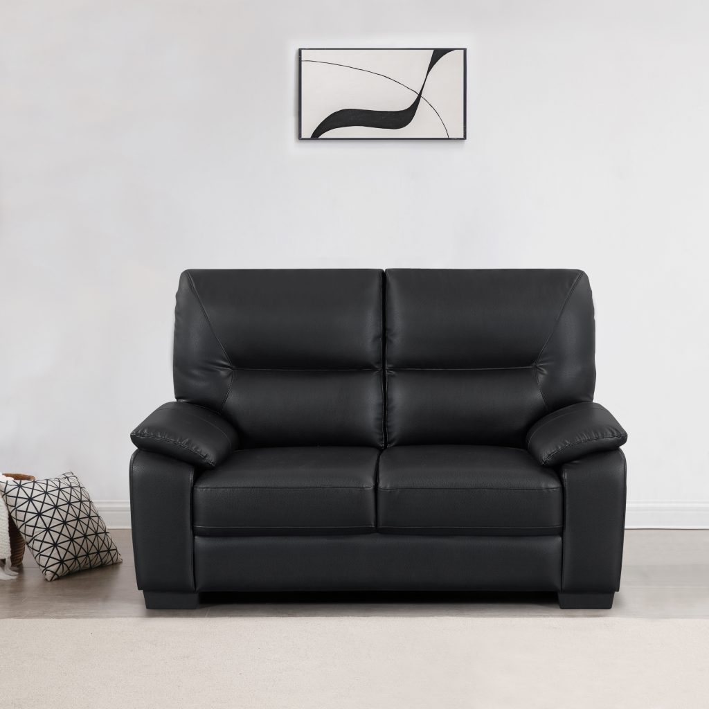 leather 2 seater